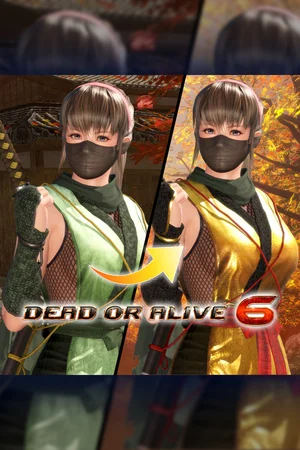 DOA6 Morphing Ninja Costume - Hitomi