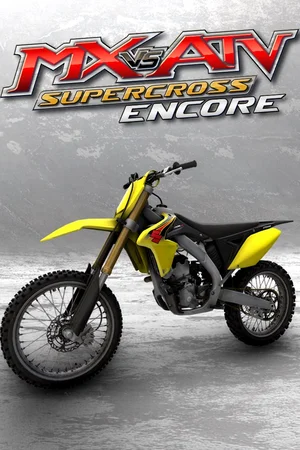 2015 Suzuki RM-Z250 MX