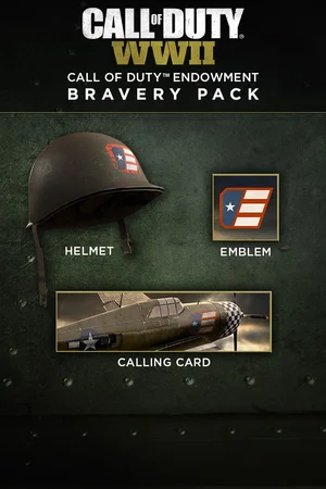 Call of Duty®: WWII - Call of Duty™ Endowment Bravery Pack