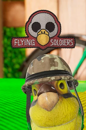 Flying Soldiers