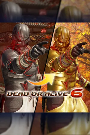 DOA6 Morphing Ninja Costume - Raidou