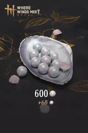 Where Winds Meet-600 Echo Beads