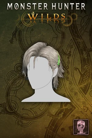 Hairstyle: Erik