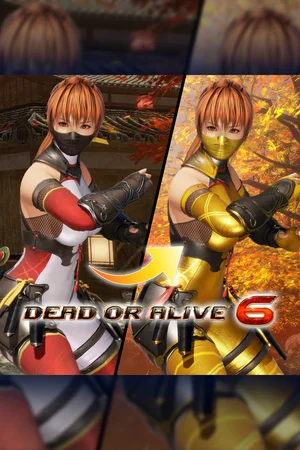 DOA6 Morphing Ninja Costume - Kasumi